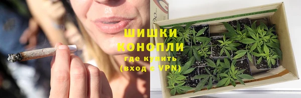 крисы Вязники
